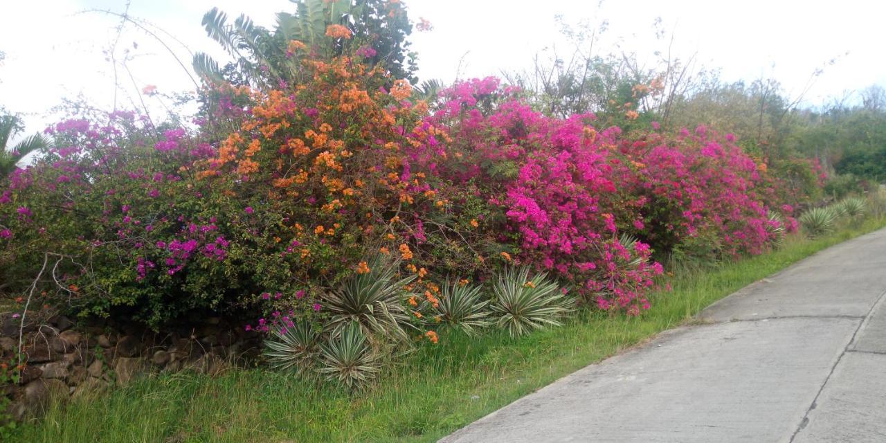 Villa Tikaz Toukité Méro Esterno foto