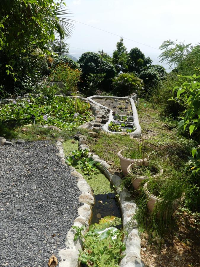Villa Tikaz Toukité Méro Esterno foto