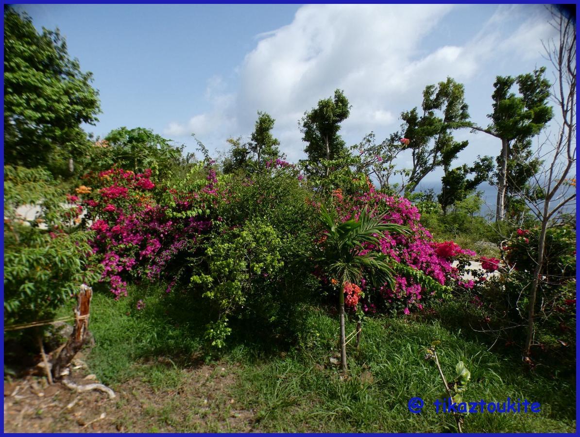 Villa Tikaz Toukité Méro Esterno foto